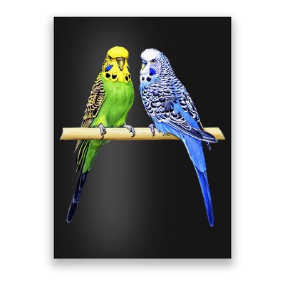 Colorful Parrots Parrot Birds Bird Lover Parakeets Poster