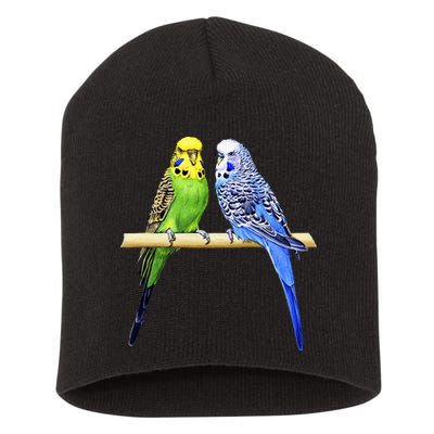 Colorful Parrots Parrot Birds Bird Lover Parakeets Short Acrylic Beanie