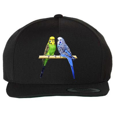 Colorful Parrots Parrot Birds Bird Lover Parakeets Wool Snapback Cap