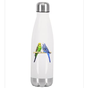 Colorful Parrots Parrot Birds Bird Lover Parakeets Stainless Steel Insulated Water Bottle