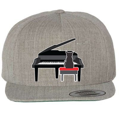 Cat Playing Piano Music Lover Funny T Wool Snapback Cap