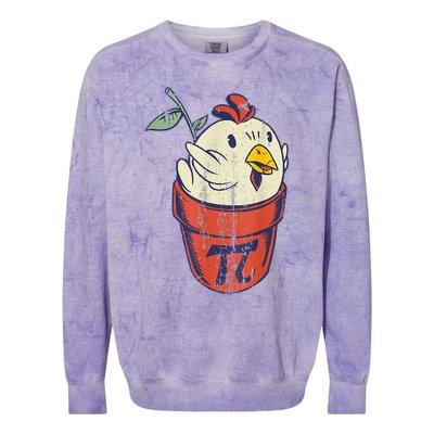 Chicken Pot PI Day Math Funny Teacher Colorblast Crewneck Sweatshirt