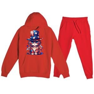 Cute Patriotic Red White And Blue Kitten Cat Premium Hooded Sweatsuit Set