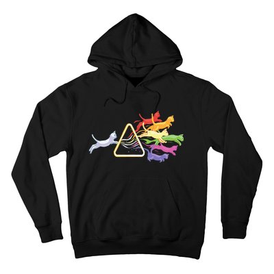 Cat Prism Rainbow Light Funny Physics Science Spectral Cat Hoodie