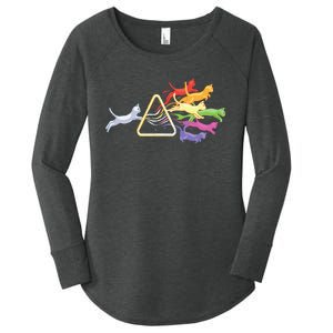 Cat Prism Rainbow Light Funny Physics Science Spectral Cat Women's Perfect Tri Tunic Long Sleeve Shirt