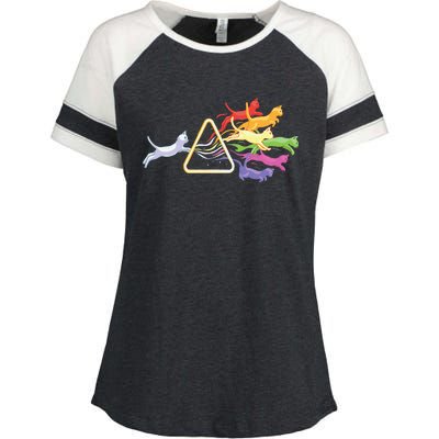 Cat Prism Rainbow Light Funny Physics Science Spectral Cat Enza Ladies Jersey Colorblock Tee