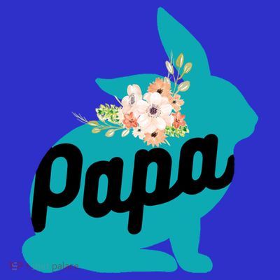 Cute Papa Rabbit Bunny Cool Gift Designs For Pregnancy Gift Meaningful Gift T-Shirt