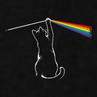 Cat Prism Rainbow Light Funny Physics Science Spectral Cat Ladies PosiCharge Tri-Blend Wicking Tank