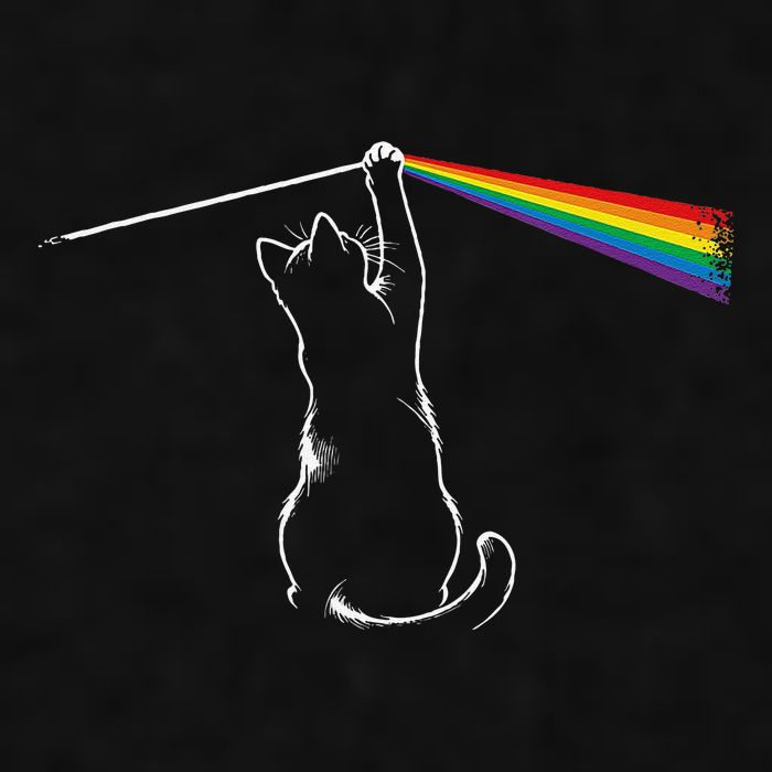 Cat Prism Rainbow Light Funny Physics Science Spectral Cat Ladies PosiCharge Tri-Blend Wicking Tank