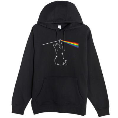 Cat Prism Rainbow Light Funny Physics Science Spectral Cat Premium Pullover Hoodie