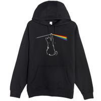 Cat Prism Rainbow Light Funny Physics Science Spectral Cat Premium Pullover Hoodie