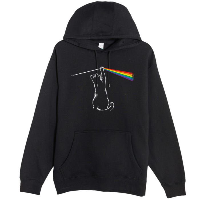 Cat Prism Rainbow Light Funny Physics Science Spectral Cat Premium Pullover Hoodie