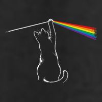 Cat Prism Rainbow Light Funny Physics Science Spectral Cat Microfiber Hand Towel