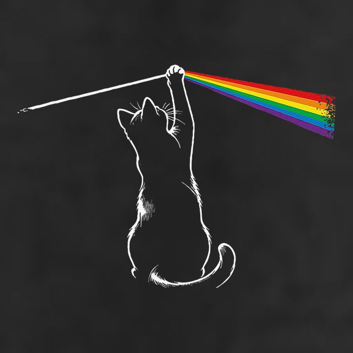 Cat Prism Rainbow Light Funny Physics Science Spectral Cat Microfiber Hand Towel