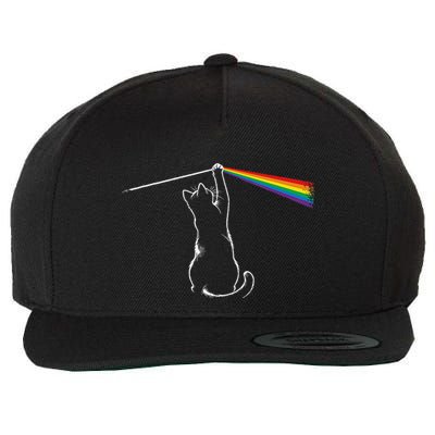 Cat Prism Rainbow Light Funny Physics Science Spectral Cat Wool Snapback Cap