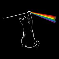 Cat Prism Rainbow Light Funny Physics Science Spectral Cat Wool Snapback Cap