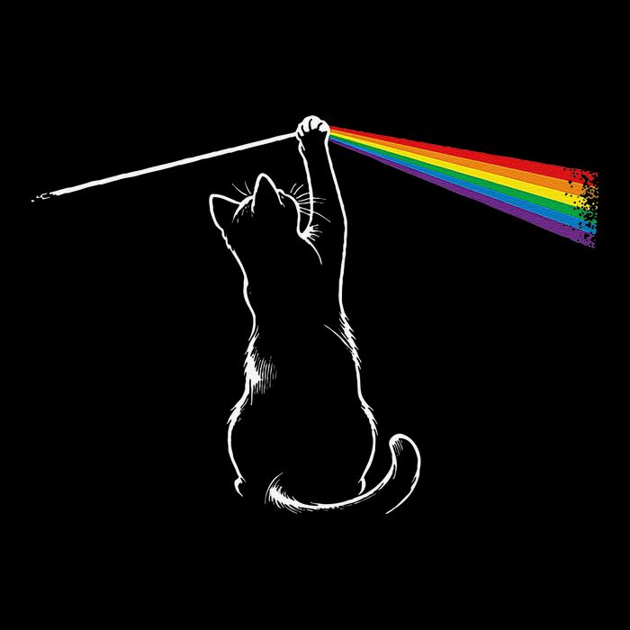Cat Prism Rainbow Light Funny Physics Science Spectral Cat Wool Snapback Cap