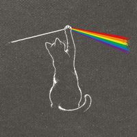 Cat Prism Rainbow Light Funny Physics Science Spectral Cat Cotton Canvas Backpack