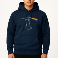 Cat Prism Rainbow Light Funny Physics Science Spectral Cat Hoodie