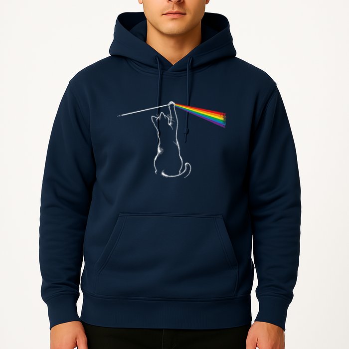 Cat Prism Rainbow Light Funny Physics Science Spectral Cat Hoodie