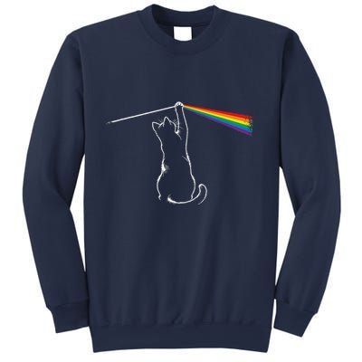 Cat Prism Rainbow Light Funny Physics Science Spectral Cat Sweatshirt