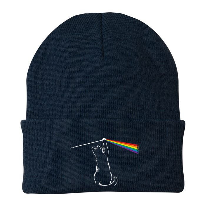 Cat Prism Rainbow Light Funny Physics Science Spectral Cat Beanie