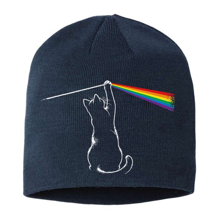 Cat Prism Rainbow Light Funny Physics Science Spectral Cat Sustainable Beanie