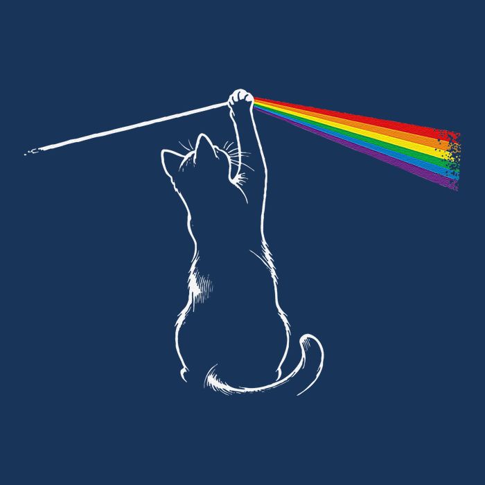 Cat Prism Rainbow Light Funny Physics Science Spectral Cat 16 in Basic Backpack