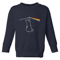 Cat Prism Rainbow Light Funny Physics Science Spectral Cat Toddler Sweatshirt