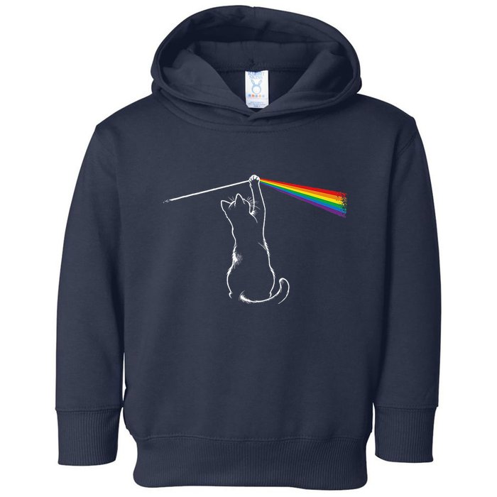 Cat Prism Rainbow Light Funny Physics Science Spectral Cat Toddler Hoodie