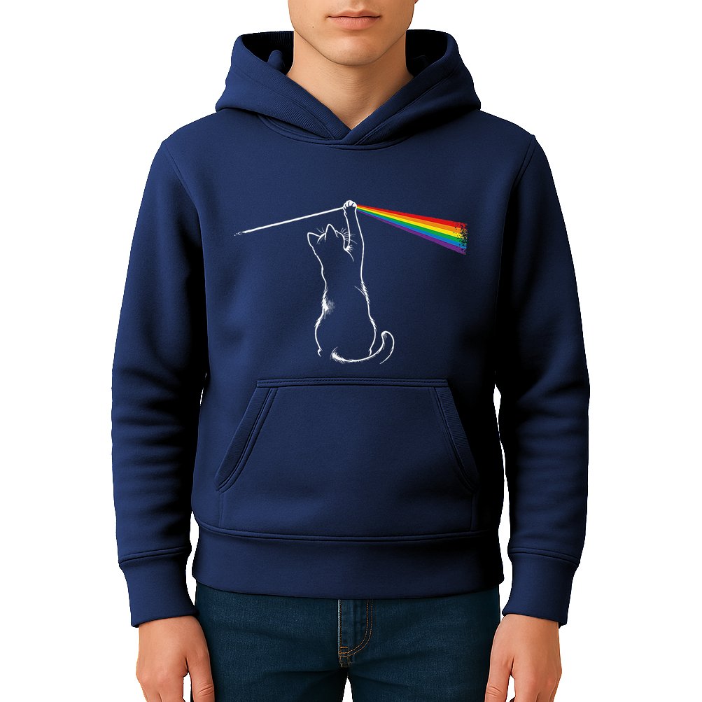 Cat Prism Rainbow Light Funny Physics Science Spectral Cat Kids Hoodie