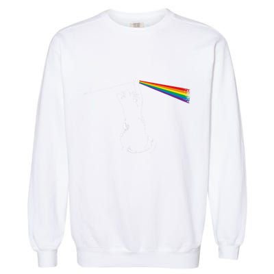 Cat Prism Rainbow Light Funny Physics Science Spectral Cat Garment-Dyed Sweatshirt