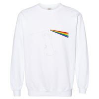 Cat Prism Rainbow Light Funny Physics Science Spectral Cat Garment-Dyed Sweatshirt