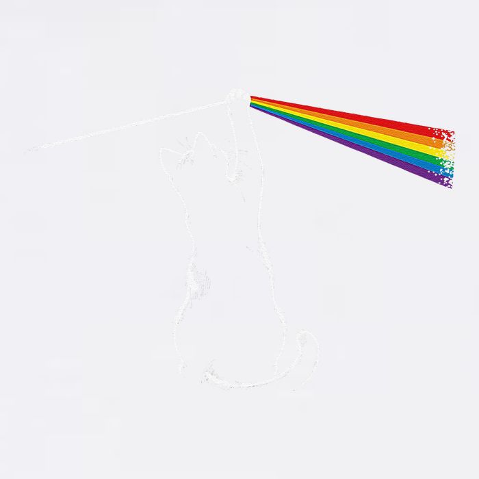 Cat Prism Rainbow Light Funny Physics Science Spectral Cat Garment-Dyed Sweatshirt