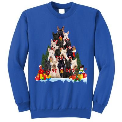 Christmas Pajama Scottish Terrier Xmas Tree Funny Gift Dog Lovers Cool Gift Tall Sweatshirt
