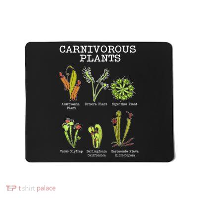 Carnivorous Plants Species Saracenia Venus Flytrap Mousepad