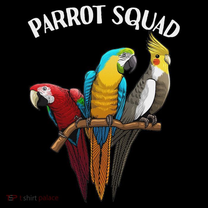 Cool Parrot Squad Tropical Bird Parrots Birder T-Shirt