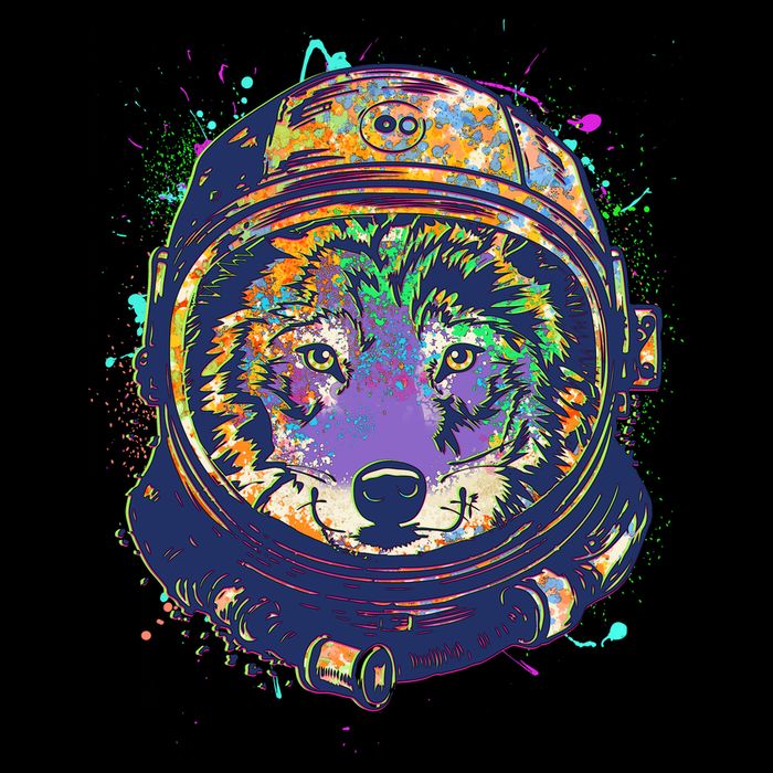 Colorful Paint Splat Astronaut Wolf Sweatshirt