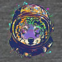 Colorful Paint Splat Astronaut Wolf Button