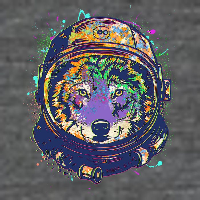 Colorful Paint Splat Astronaut Wolf 7-Panel Snapback Hat