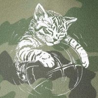 Cat Player Sleeping On A Basketball Kitties Pet Lover Legacy Tie Dye Trucker Hat