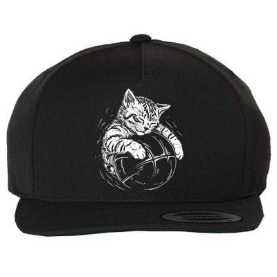 Cat Player Sleeping On A Basketball Kitties Pet Lover Wool Snapback Cap