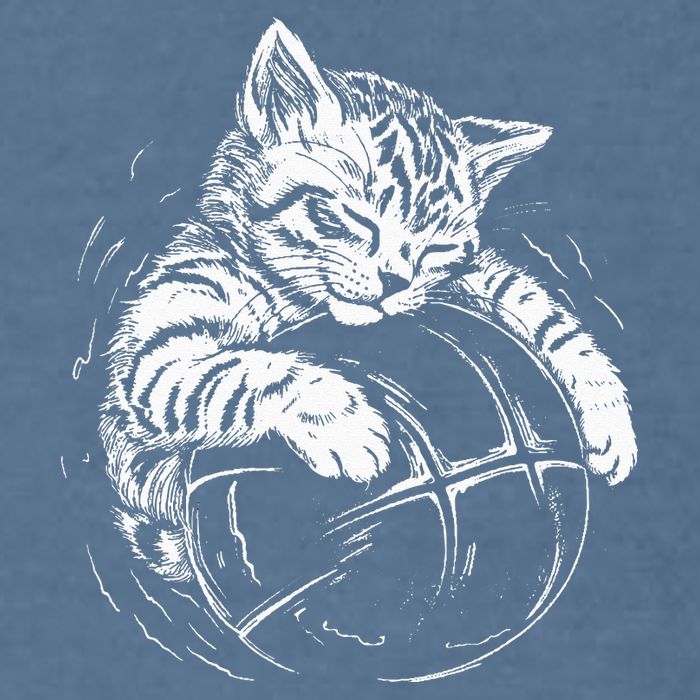Cat Player Sleeping On A Basketball Kitties Pet Lover Garment-Dyed Sweatshirt