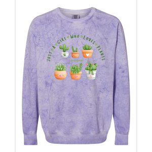 Cactus Plant, Succulents, Just A Girl Who Loves Plants Colorblast Crewneck Sweatshirt