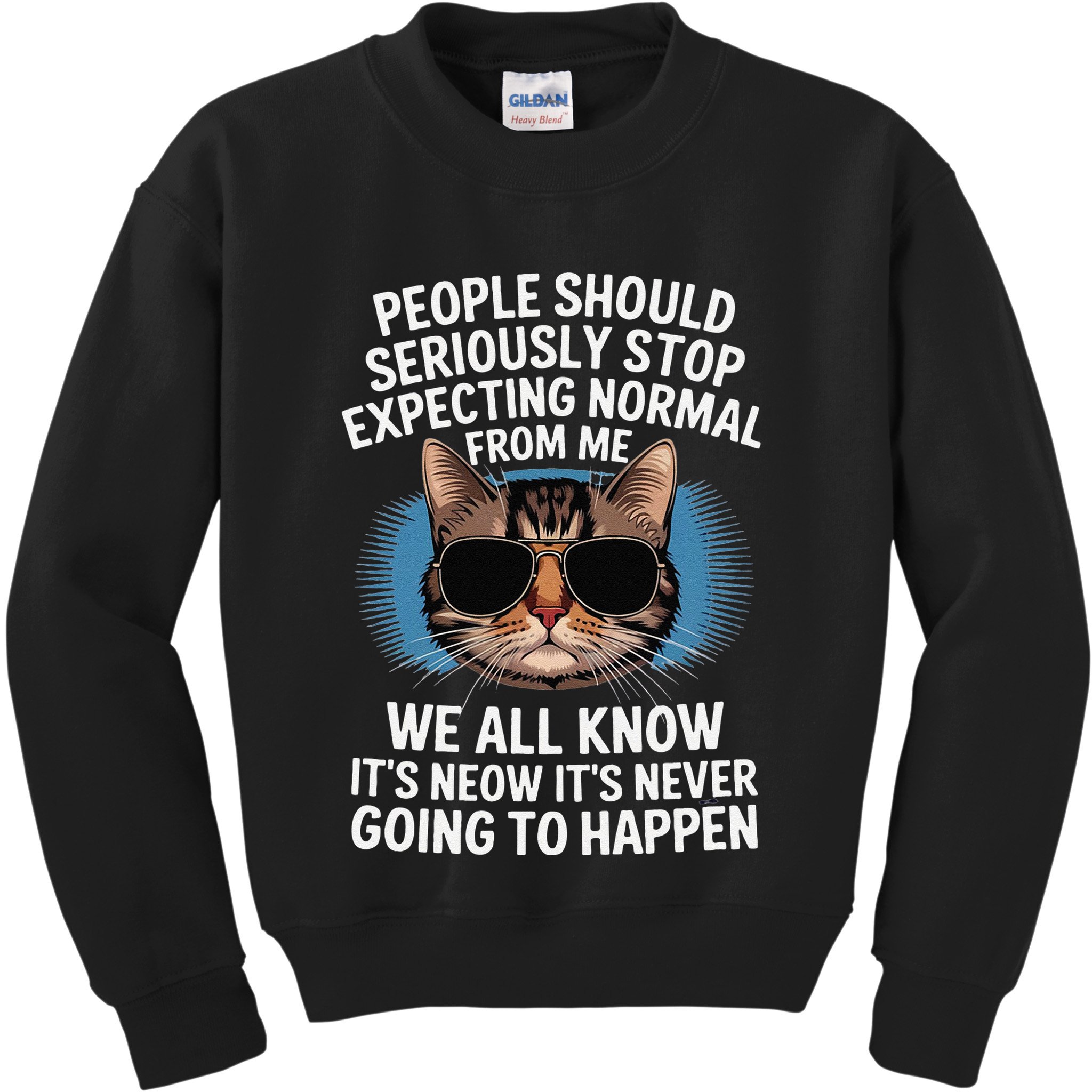 Cat People Should Seriously Graphic Design Idea Humor Novel Kids Sweatshirt