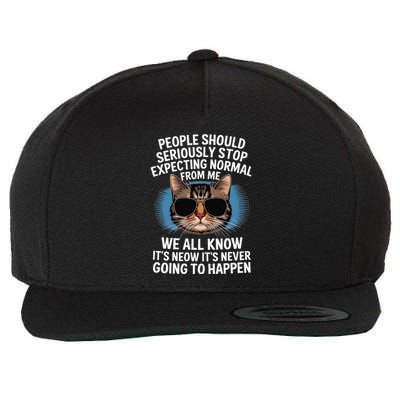 Cat People Should Seriously Graphic Design Idea Humor Novel Wool Snapback Cap
