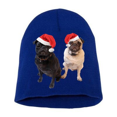 Cute Pugs Santa Hats Funny Dog Portrait Image Christmas Pug Gift Short Acrylic Beanie