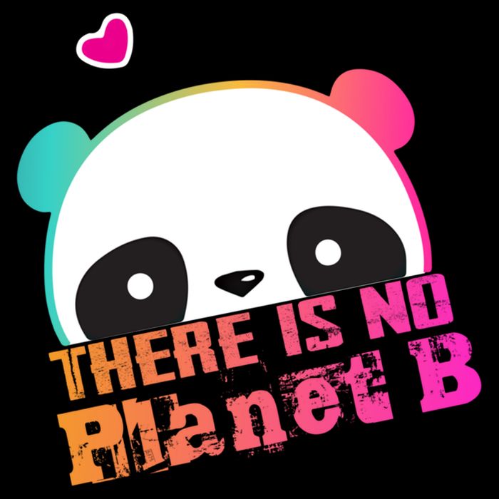 Cute Panda: There Is No Planet B Gift Climate Change Is Real! Gift Youth Performance Sprint T-Shirt