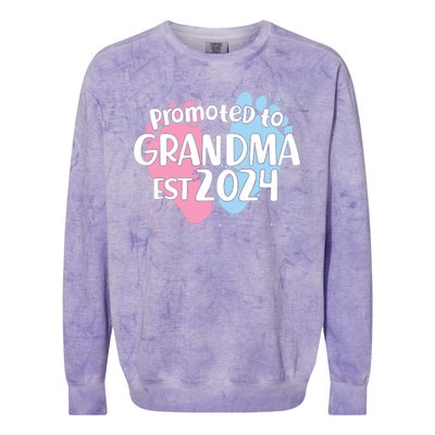 Cute Promoted To Grandma Est 2024 Colorblast Crewneck Sweatshirt