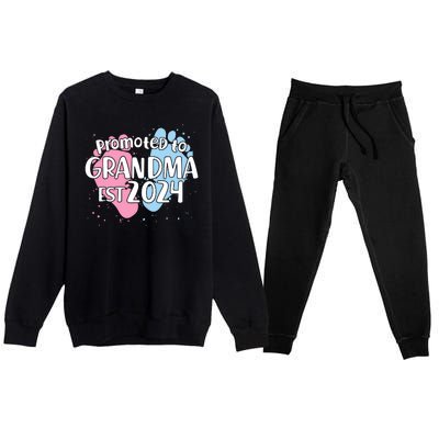 Cute Promoted To Grandma Est 2024 Premium Crewneck Sweatsuit Set